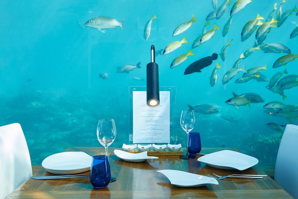 Ithaa Undersea Restaurant at Conrad Maldives Rangali Island thumbnail 5